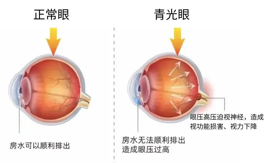 微信图片_2026-06-11_101535_708.jpg 微信图片_2026-06-11_101535_708.jpg